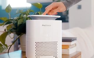 A Comprehensive Guide to Air Purifiers for Mold and Mildew Prevention