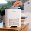 A Comprehensive Guide to Air Purifiers for Mold and Mildew Prevention