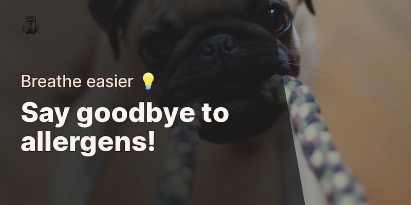 Say goodbye to allergens! - Breathe easier 💡
