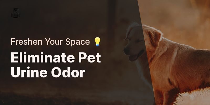 Eliminate Pet Urine Odor - Freshen Your Space 💡