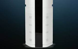 What are the benefits of using an air purifier with a UV-C light technology?